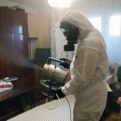 Дезинфекция от клопов в Бегуницах
