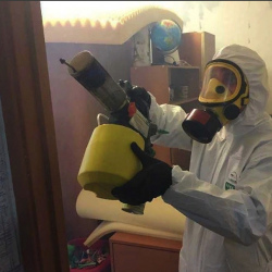Уничтожение клопов в квартире. Бегуницы